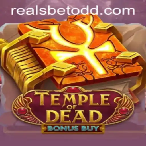 realsbet Casino App